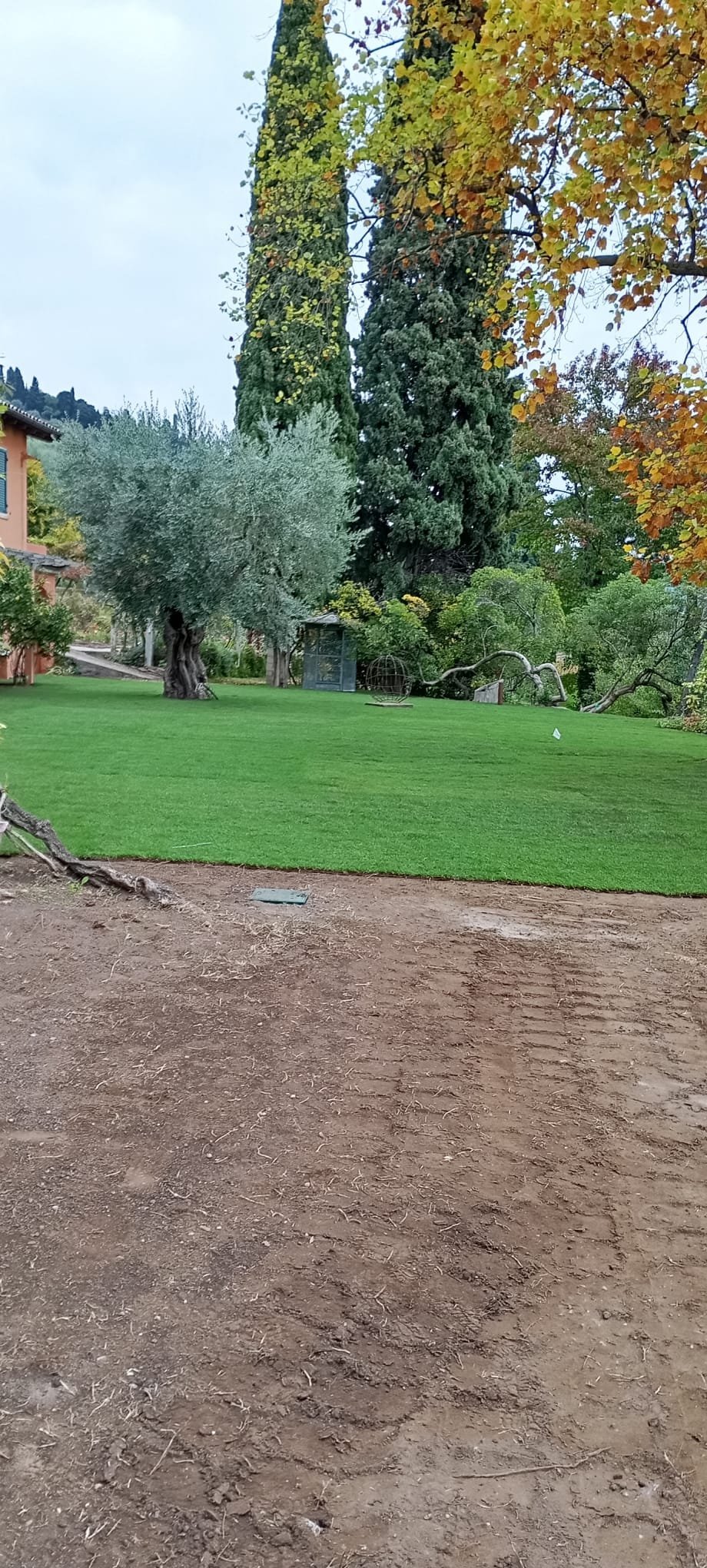 Manicured green lawn with cypress trees, tall trees, and a terracotta building on the left in an Italian villa garden setting